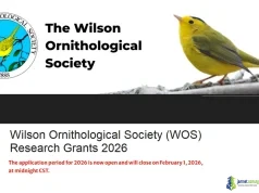 Wilson Ornithological Society (WOS) Research Grants 2026 ($5,000 for Undergraduate, Graduate & Independent) Wilson Ornithological Society (WOS) Research Grants 2026