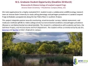Arizona State University Masters Scholarship 2026 Arizona State University Masters Scholarship 2026