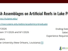 Fully Funded Tulane University Masters Scholarship 2026