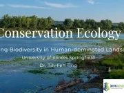 Fully Funded University of Illinois Research Assistantship 2026 Fully Funded University of Illinois Research Assistantship 2026