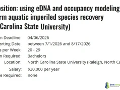 NC State University 2026 PhD Funding & Graduate Student Aid