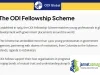 Overseas Development Institute (ODI) Fellowship 2026-2028
