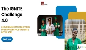 WFP 2026 IGNITE Challenge 4.0 & Agri-Fintech Startup Funding