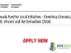 2026 Canada Fund for Local Initiatives ($100,000 Funding)