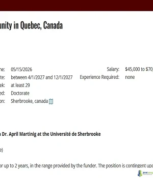 2027 University of Sherbrooke Fellowship ($70,000 Funding for Researchers)