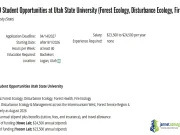 2027 Utah State University Graduate Program ($48,000 Full Funding for Masters & PhD) 2027 Utah State University Graduate Program ($48,000 Full Funding for Masters & PhD)