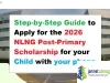 How to Apply for the NLNG Post-Primary Scholarship with your phone