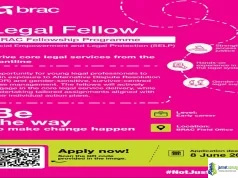 2026 BRAC SELP Legal Fellowship