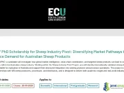 2026 ECU Sheep Industry Pivot Scholarship (Full Funding for Agribusiness Research)