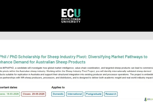 2026 ECU Sheep Industry Pivot Scholarship (Full Funding for Agribusiness Research)