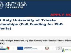 2026 Italy University of Trieste Scholarships (Full Funding for PhD Students)