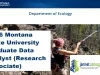 2026 Montana State University Graduate Data Analyst (Research Associate)