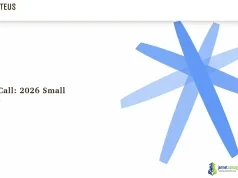 2026 RISE Together Small Grants Fund (Proteus Fund)