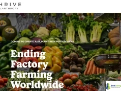 2026 Thrive Philanthropy Grant ($30,000 for Global Food System Transformation) 2026 Thrive Philanthropy Grant ($30,000 for Global Food System Transformation)