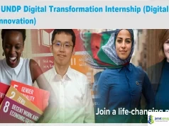2026 UNDP Digital Transformation Internship (Digital, AI and Innovation)