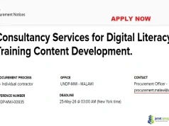 2026 UNDP Malawi Digital Literacy Consultancy