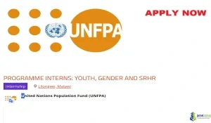 2026 UNFPA Malawi Internship (Full Funding Career Training for Graduates)