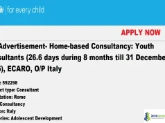 2026 UNICEF Youth Consultant Opportunity in International Development 2026 UNICEF Youth Consultant Opportunity in International Development
