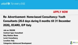 2026 UNICEF Youth Consultant Opportunity in International Development