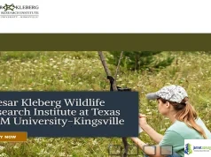 2026 USA CKWRI Assistantship for Masters Students