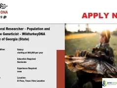 2026 University of Georgia Postdoctoral Fellowship