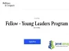 2027 McKinsey & Company Young Leaders Program