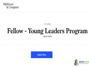 2027 McKinsey & Company Young Leaders Program
