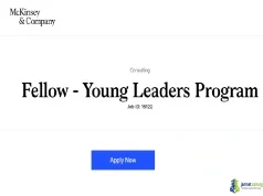 2027 McKinsey & Company Young Leaders Program
