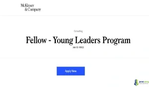 2027 McKinsey & Company Young Leaders Program