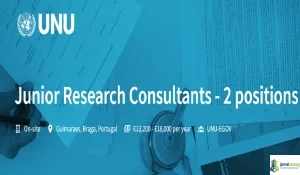 Portugal 2026 UNU EGOV Junior Research Consultant