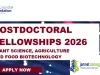 2026 Novo Nordisk Foundation Postdoctoral Fellowships (Fully Funded)