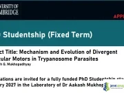 2027 University of Cambridge Pathology PhD Studentship (Fully Funded Molecular Motors Research) 2027 University of Cambridge Pathology PhD Studentship (Fully Funded Molecular Motors Research)