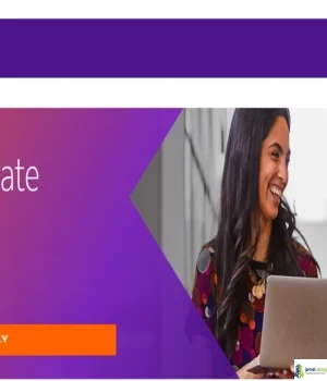 2026 FedEx ACE Graduate Trainee Program in Thailand (Fully Paid Opportunity)