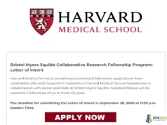 2027 Harvard Medical School Bristol Myers Squibb Research Fellowship for PhD Graduates 2027 Harvard Medical School Bristol Myers Squibb Research Fellowship for PhD Graduates